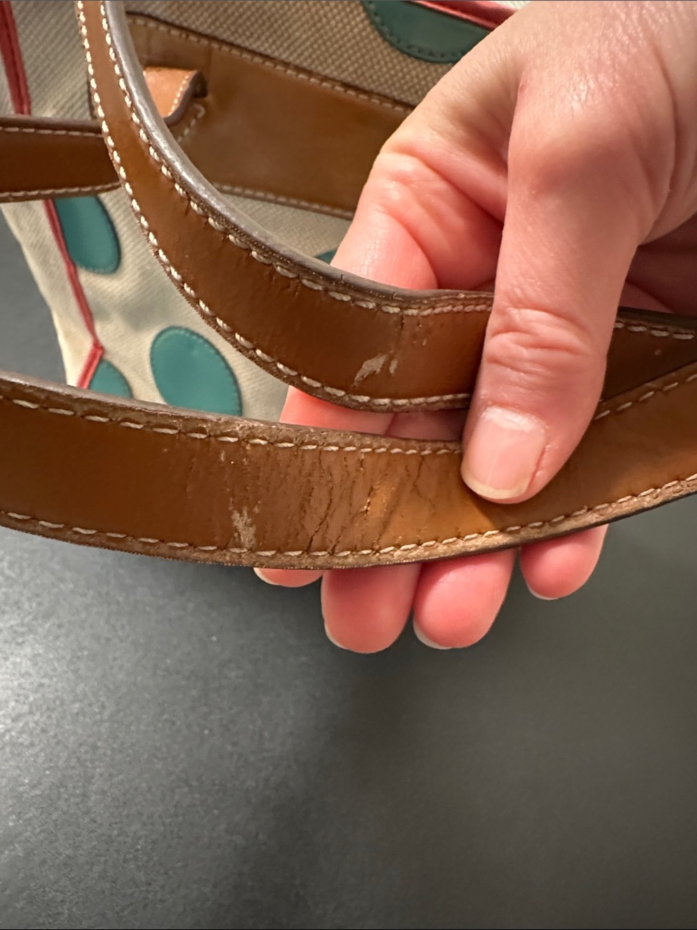 Fossil Beige Canvas Tote with Teal Polka Dots and Brown Leather Handles - Picture 8 of 8